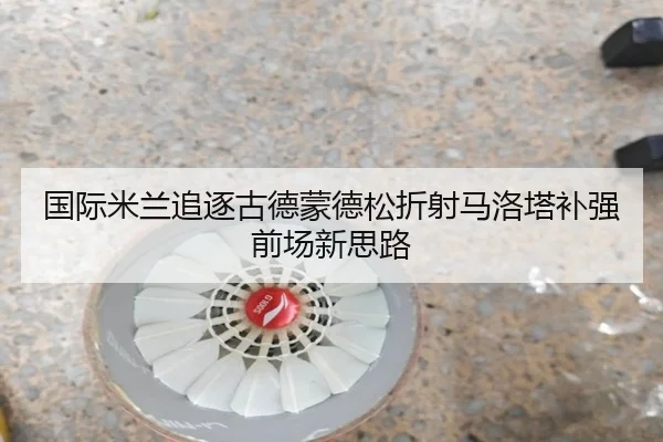 国际米兰追逐古德蒙德松折射马洛塔补强前场新思路